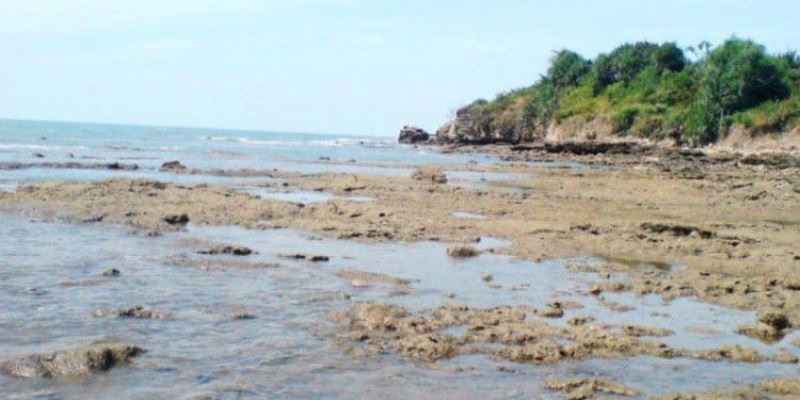 10 Wisata Pantai di Rembang yang Paling Hits Pesisir