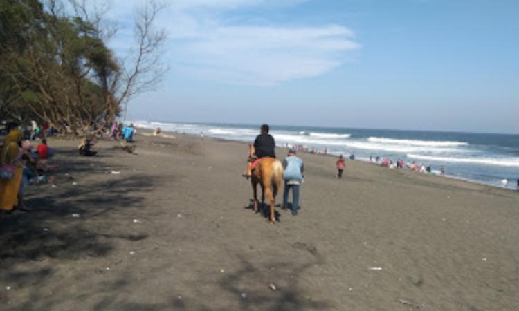 Aktivitas Dilakukan di Pantai Goa Cemara