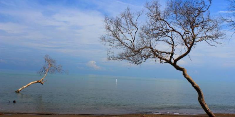 Pantai Cirewang Subang – Daya Tarik, Aktivitas Liburan, Lokasi & Harga Tiket