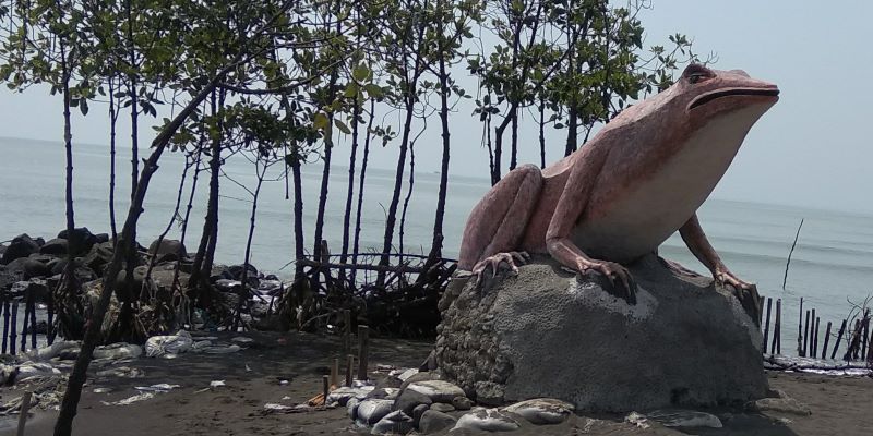 Pantai Pulau Kodok Tegal – Daya Tarik, Aktivitas Liburan, Lokasi & Harga Tiket