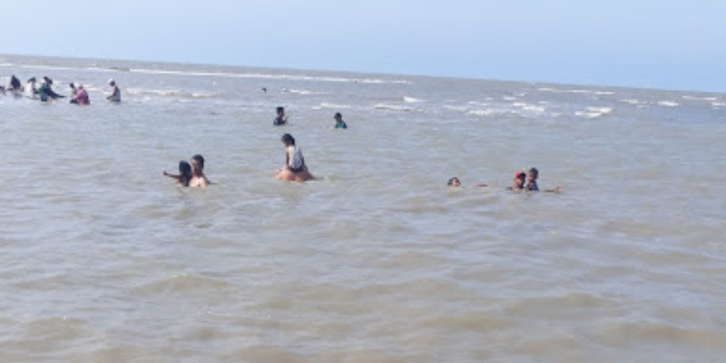 Aktivitas di Pantai Mangrove