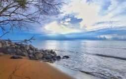 Pantai Turki Tanah Laut, Menikmati Indahnya Panorama Pantai dari Rumah Pohon