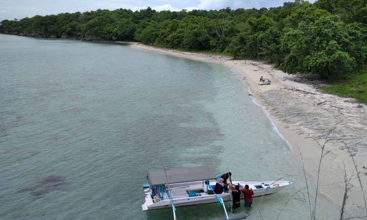 Aktivitas Menarik di Pulau Moyo