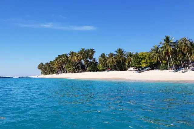 Daya Tarik Pulau Pisang